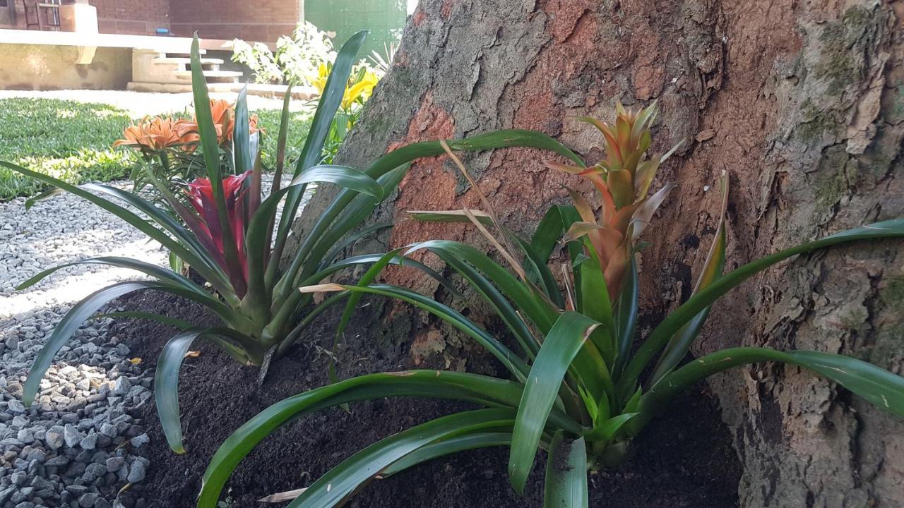 Hospedagem Economica Flor De Maria Caraguatatuba Exterior photo